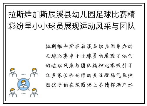 拉斯维加斯辰溪县幼儿园足球比赛精彩纷呈小小球员展现运动风采与团队精神
